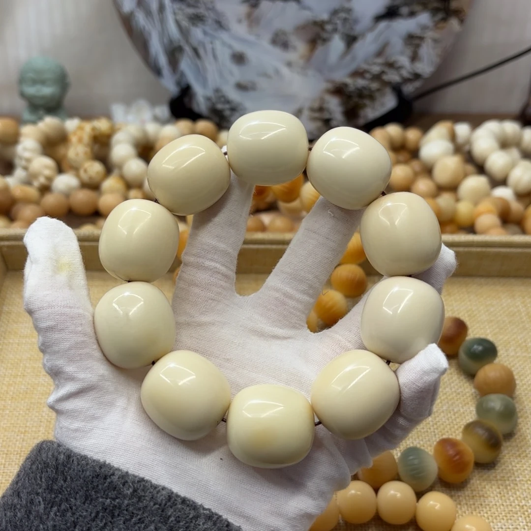 吊坠菩提根/象牙果28+干磨大瑕疵牙果枣028