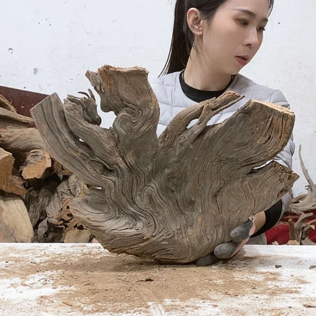 【闪购商品】柏木梁*锋我们都是好孩子