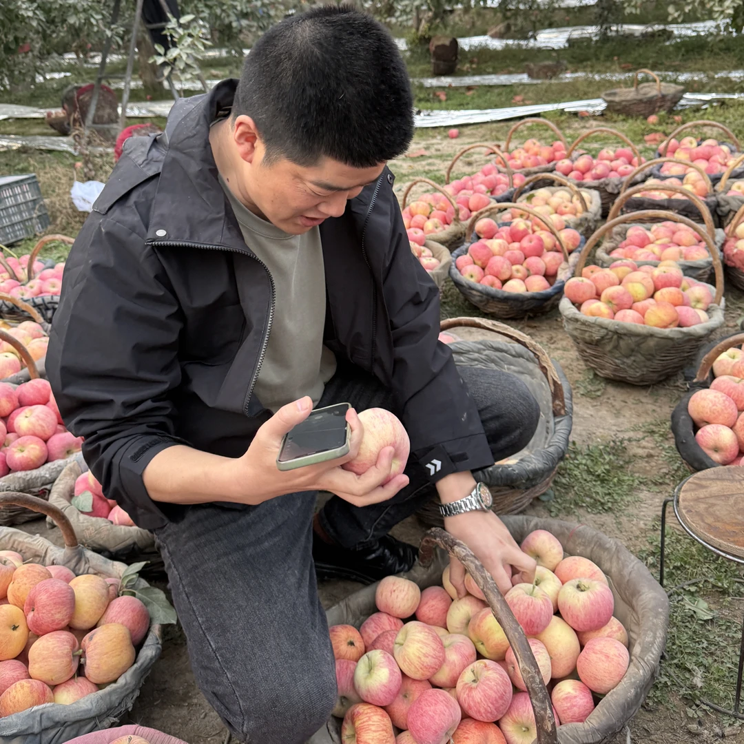 【阿凯专属】冰糖心苹果脆甜爆汁新鲜采摘红富士产地直发新疆脆苹果