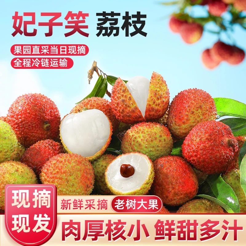 【3湛江现货现发】广东湛江荔枝妃子笑果园直发核小肉厚香甜多汁