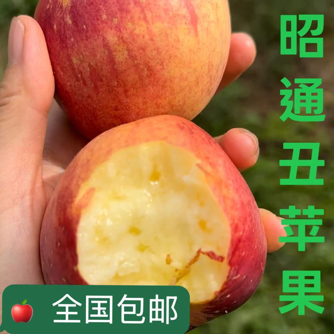 昭通苹果25年云南昭通冰糖心丑苹果现摘现发脆甜多汁果