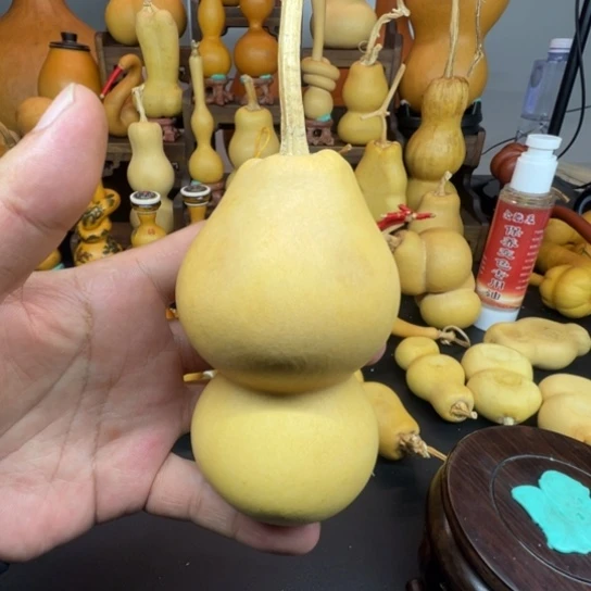 小***）葫芦葫芦等经济林木生长茂盛起来