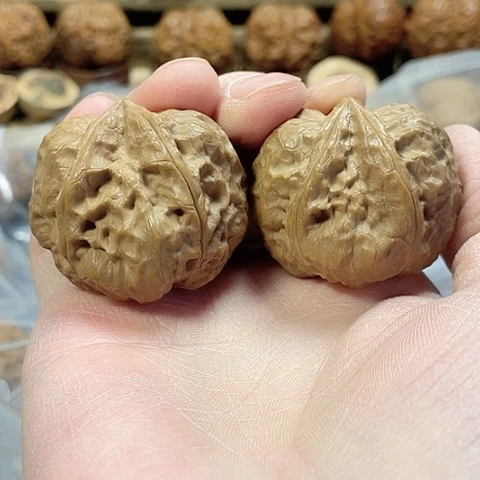 文玩核桃把件玄武索带彩41左右