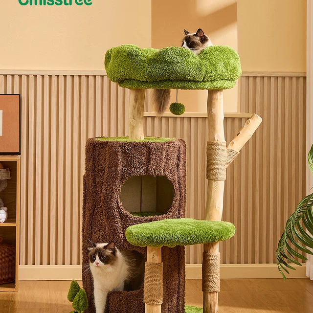 喵想树丛林实木猫爬架家用小户型不占地猫窝猫树猫抓板一体猫架