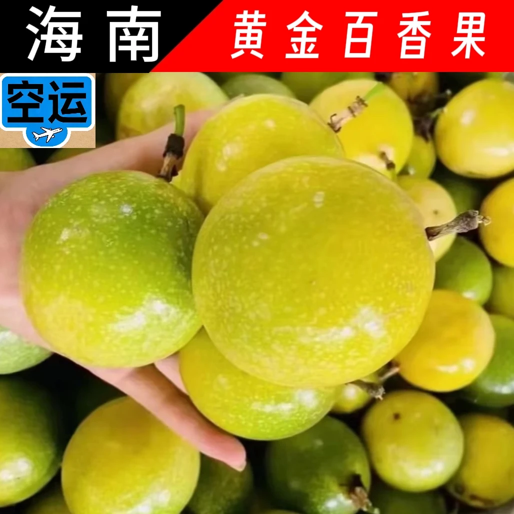 海南钦蜜9号黄金百香果3-8斤当季水果(空运包邮)