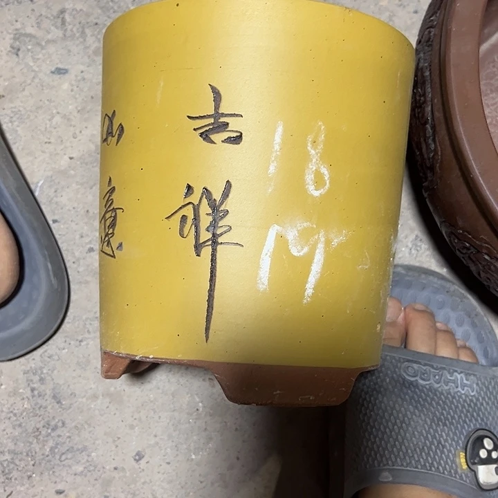 紫砂艺术学院音乐系