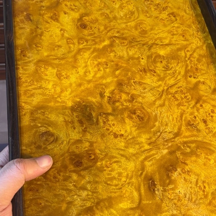 木黄金樟留疤超大托盘