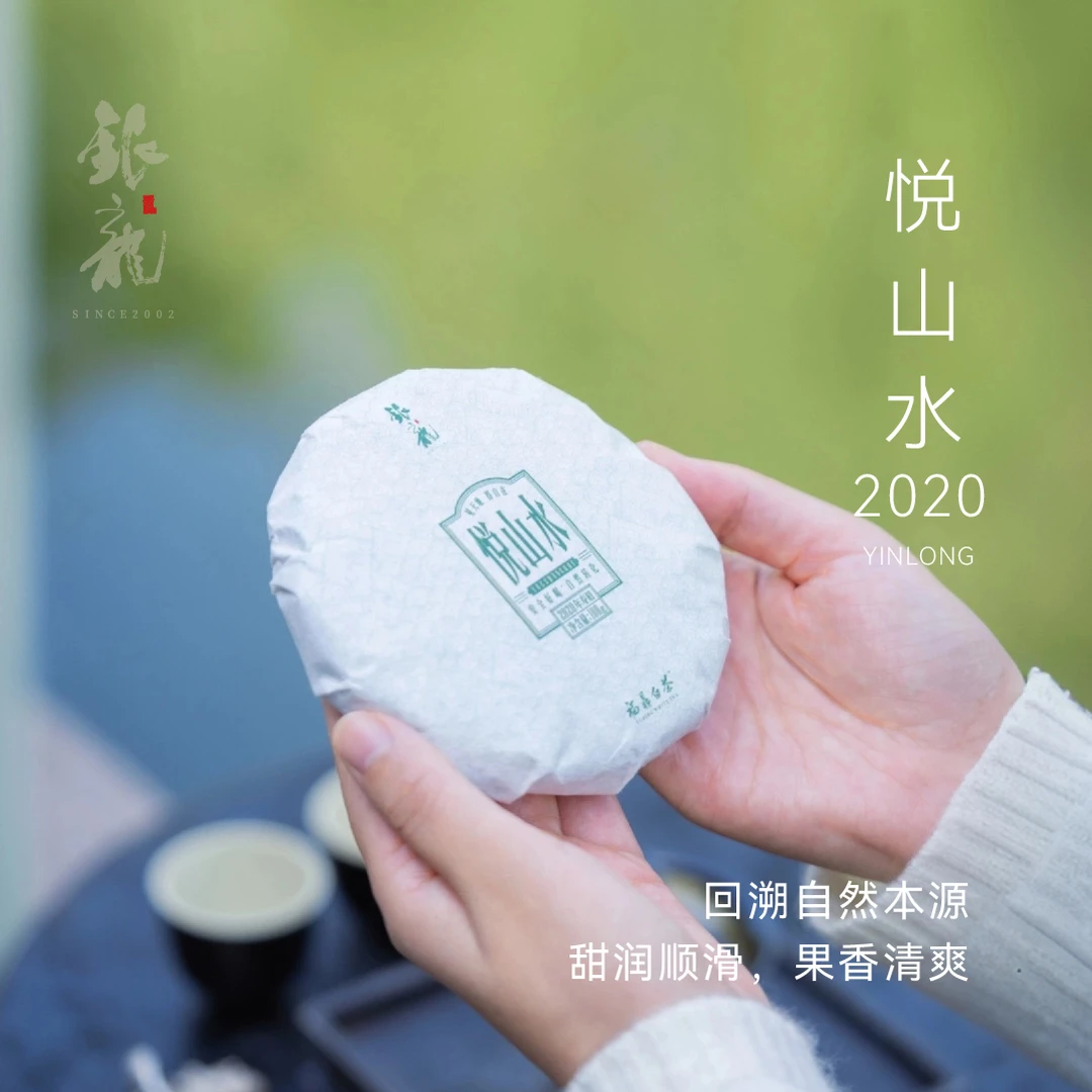 【悦山水】银龙 寿眉 银龙白茶