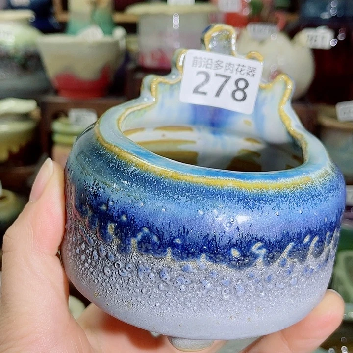 狼盆内口径6高度7