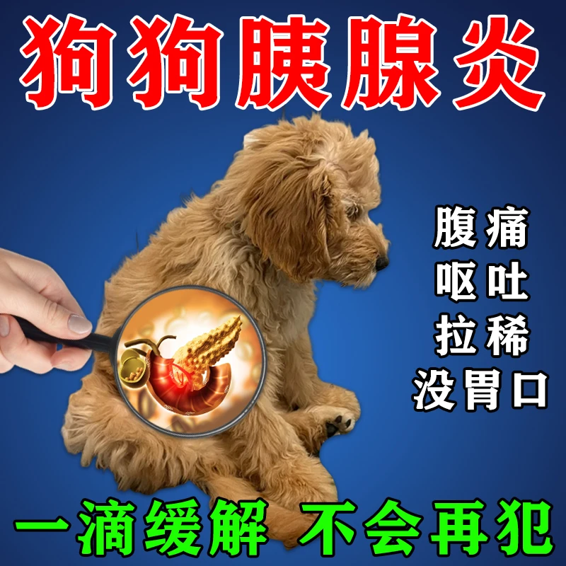 狗狗胰腺炎专用弓背呕吐拉稀黄水腹痛腹胀食欲不振调理肠胃胰酶肠