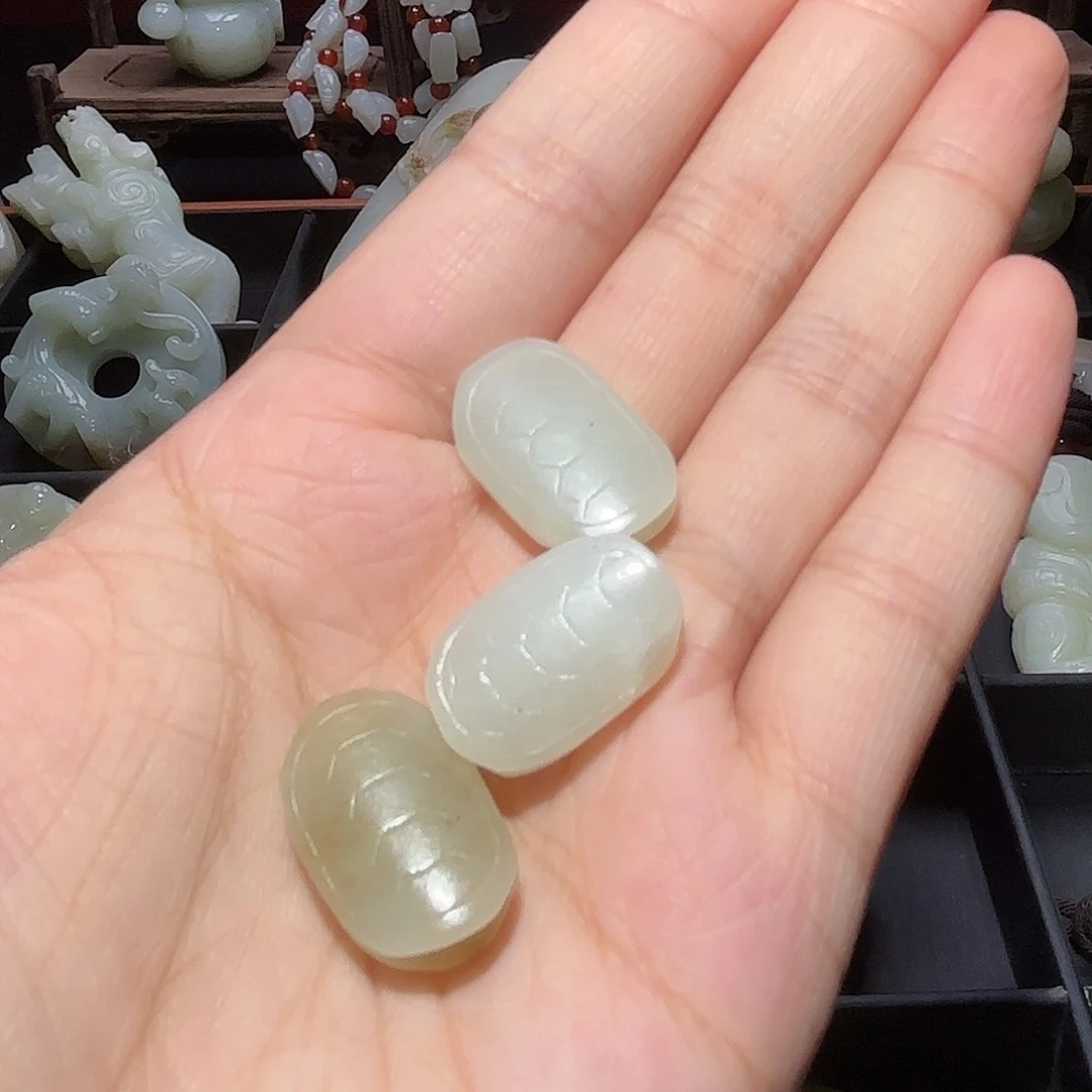 缸一物一图 所见所得