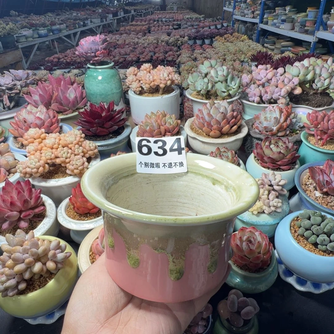 特价花盆满50发货内口13