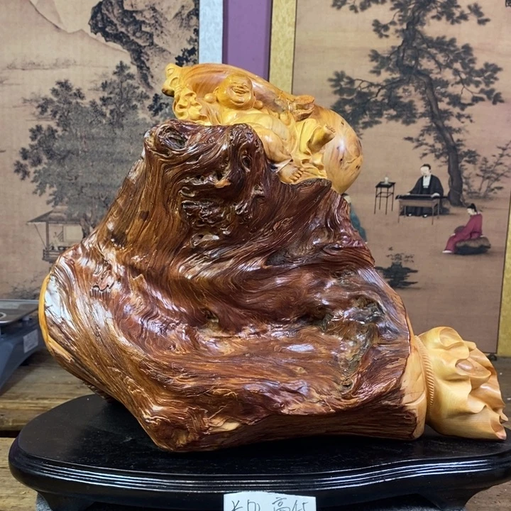 柏木（崖柏）崖柏11111