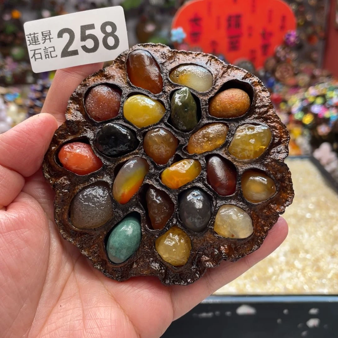 核桃木/黑胡桃（胡桃木）258卡9