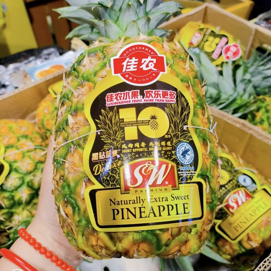 SW金钻凤梨一个2斤左右新鲜