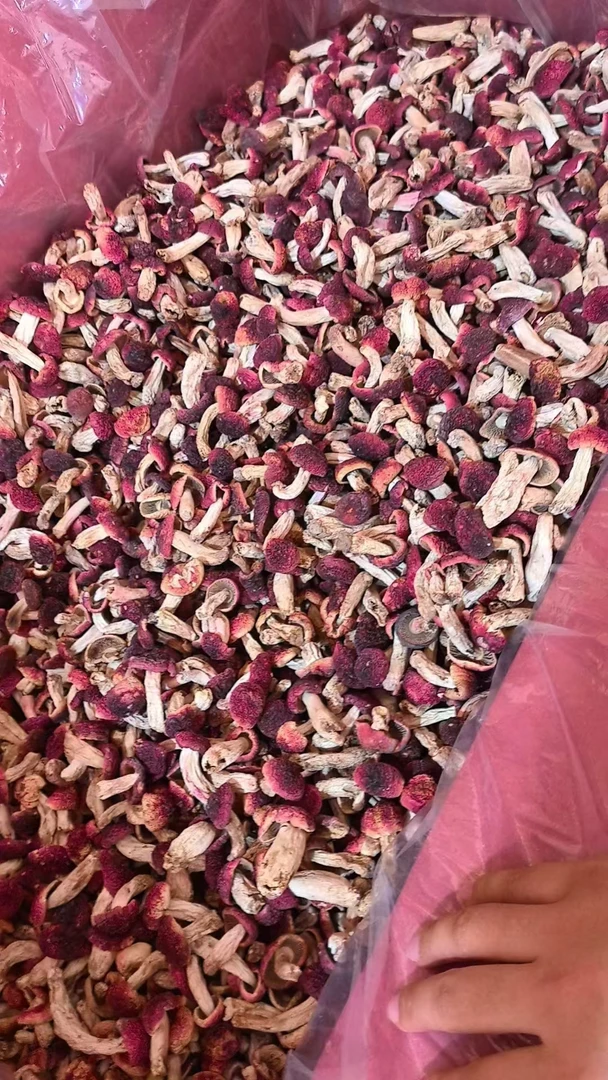 （小阿姨推荐）云南小红姑丁