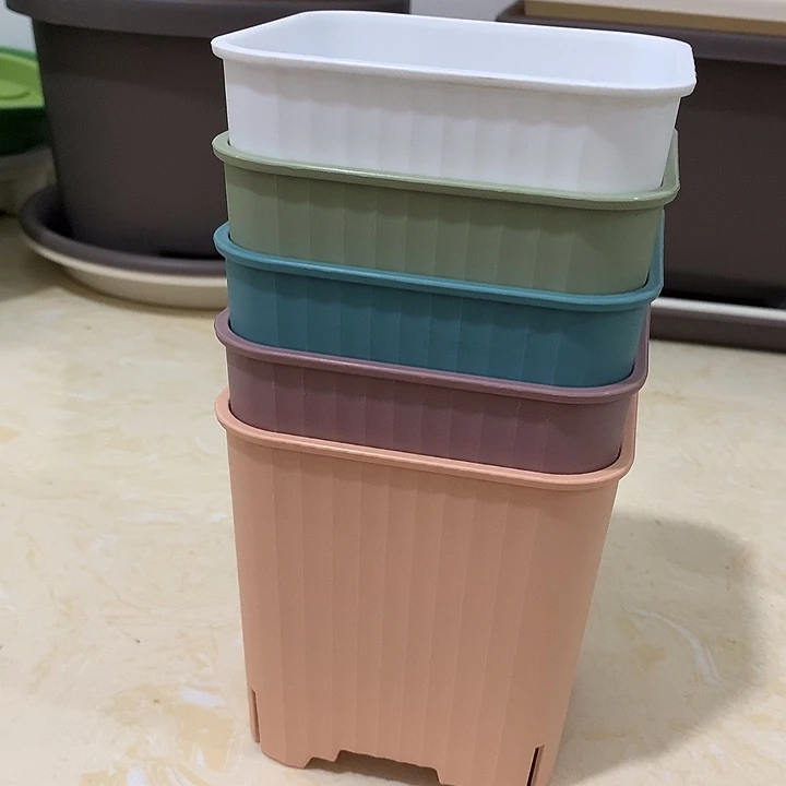 方口12混色8个带托