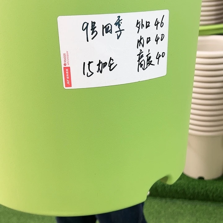 特价9号四季口46高40果绿无托4个
