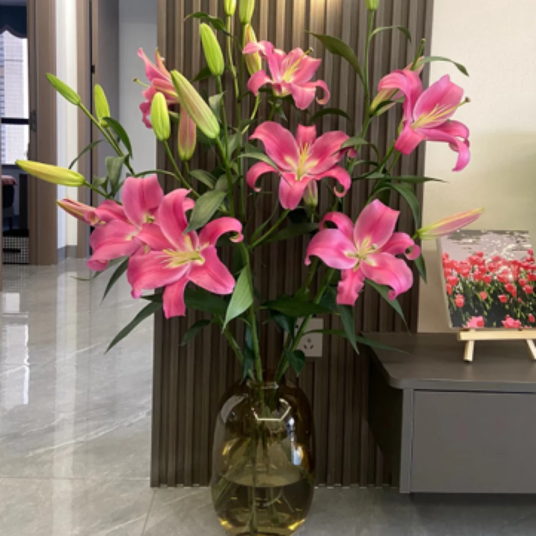 【伊春巧遇花店】圆舞曲多头粉百合3支