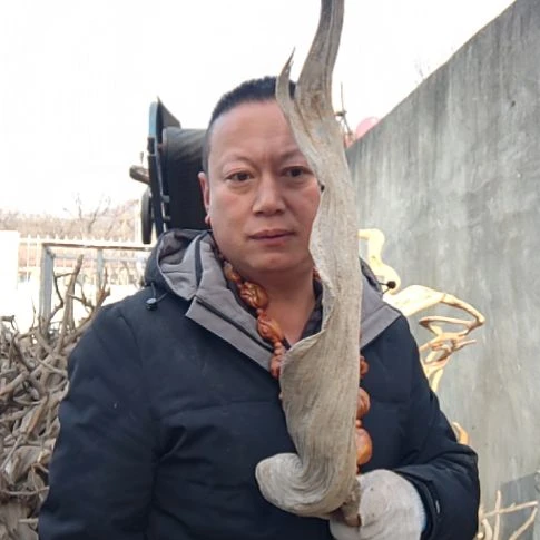 漂亮的坨坨0000100树*