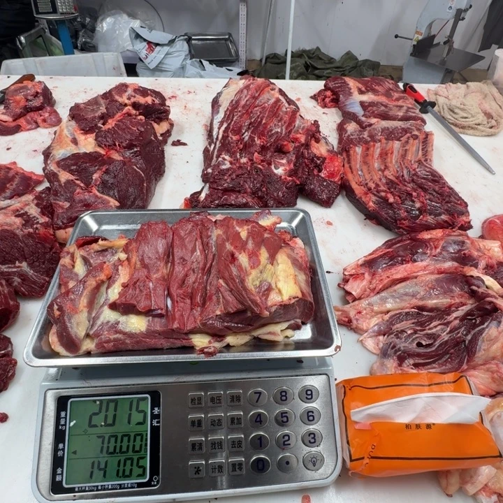 12个月中国大陆马上脑