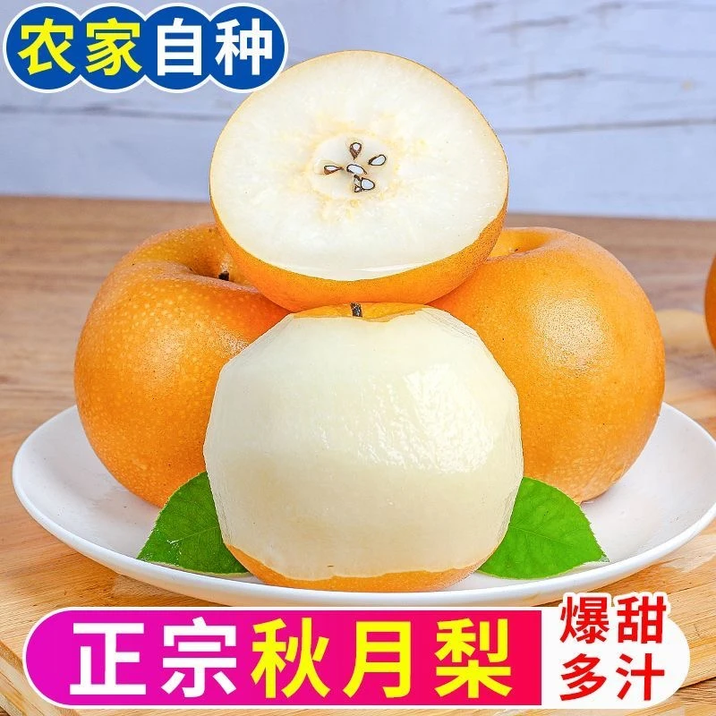 A3正宗山东莱阳秋月梨5斤装新鲜水果皮薄脆甜多汁应季水果