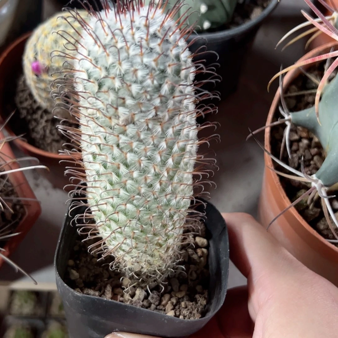 偏***你哈哈哈哈哈哈哈哈哈哈