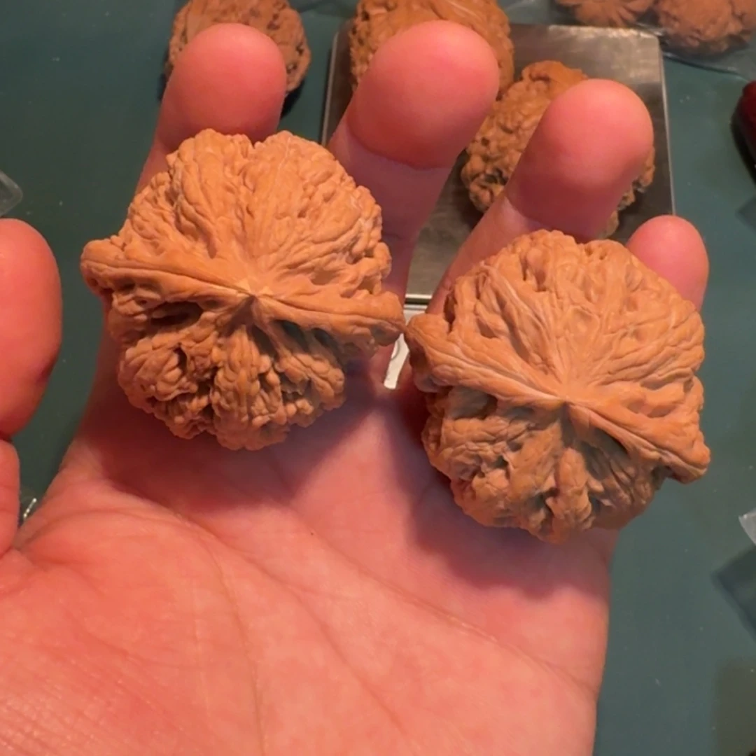 文玩核桃把件峰*大粗筋