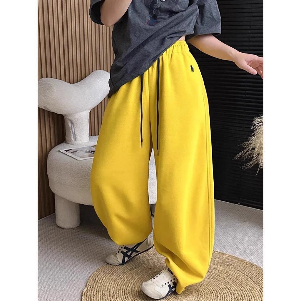 加绒加厚小马刺绣休闲裤女秋冬季2024新款高腰宽松显瘦百搭阔腿裤