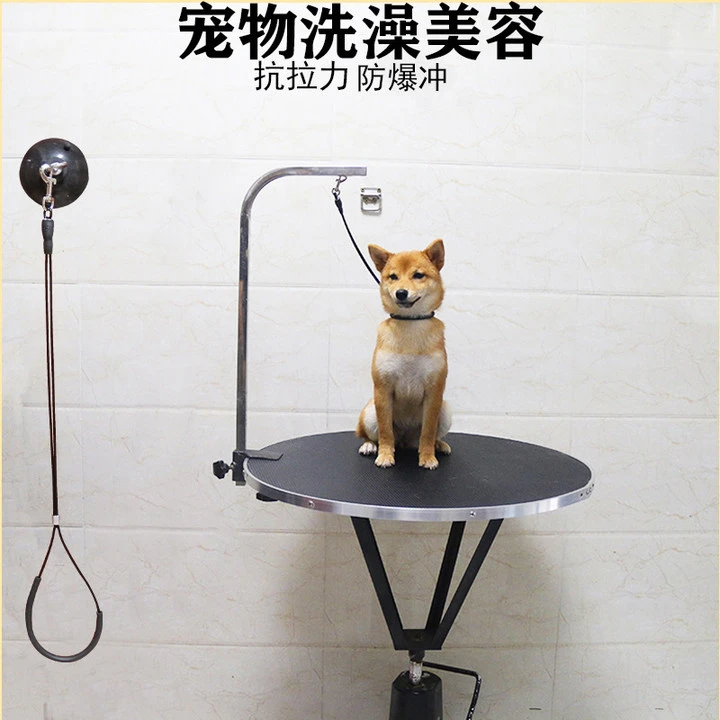 狗狗洗澡固定器宠物美容桌吊绳吸盘挂绳钢丝绳猫咪洗澡神器固定绳