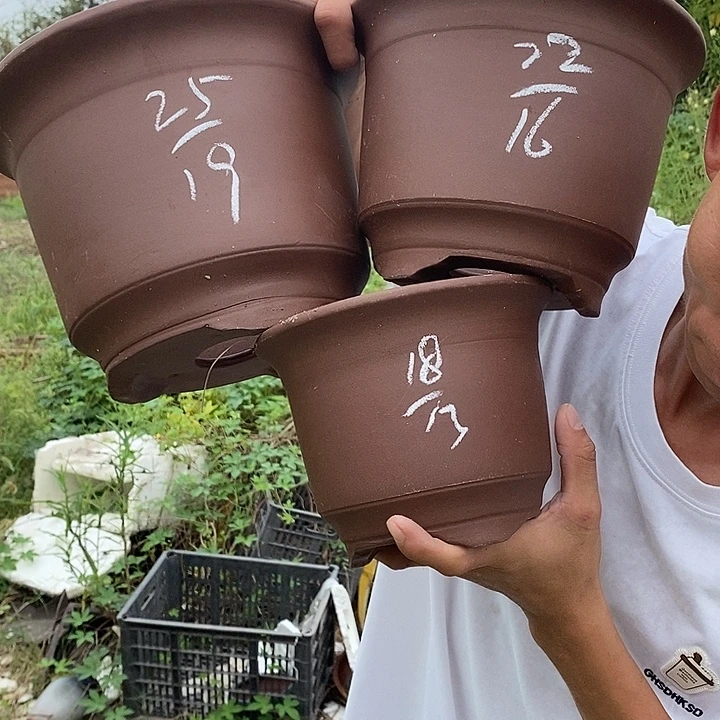 紫砂花盆你在我心里是个什么东西