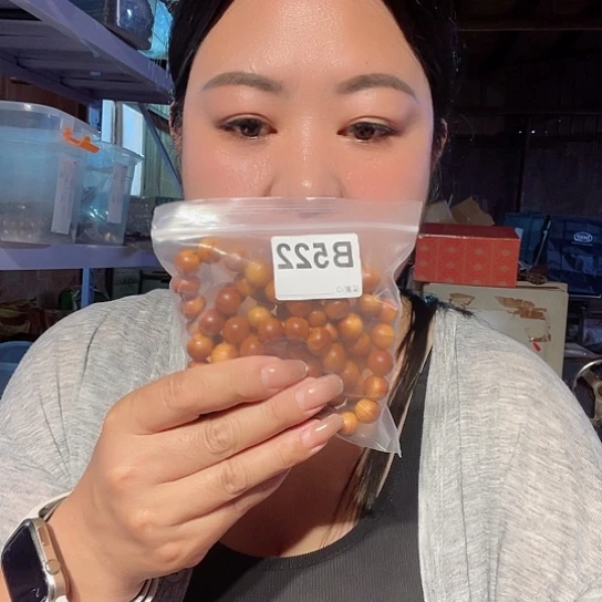 大果紫檀（缅甸花梨）522