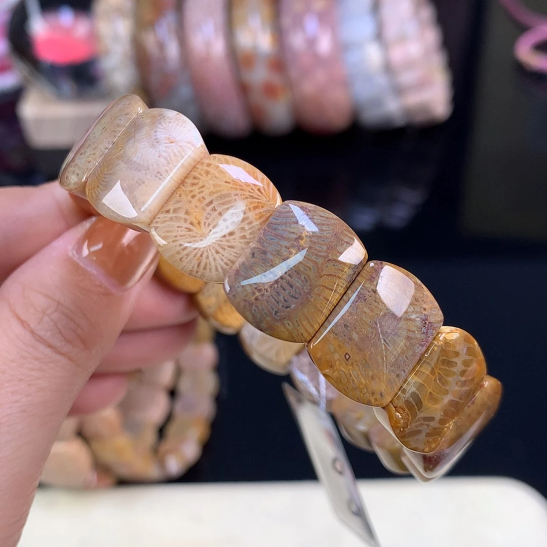 【闪购商品】颈饰未镶嵌硅化珊瑚（珊瑚玉）开播福利18号