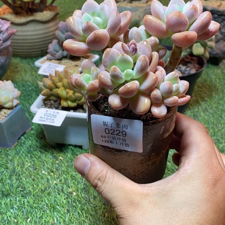 0229啊啊啊啊啊啊啊啊啊