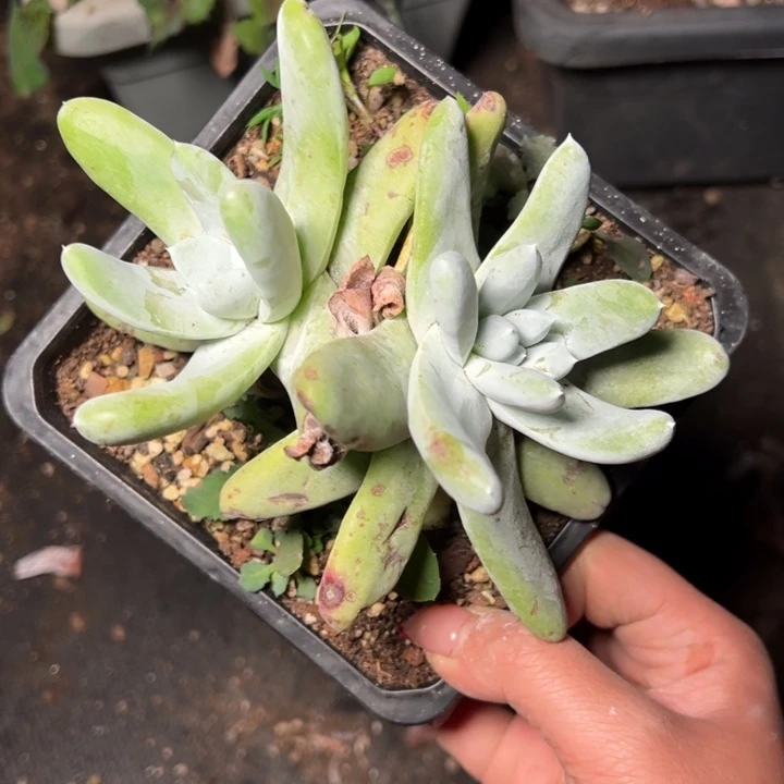 863哈哈哈哈哈哈哈哈