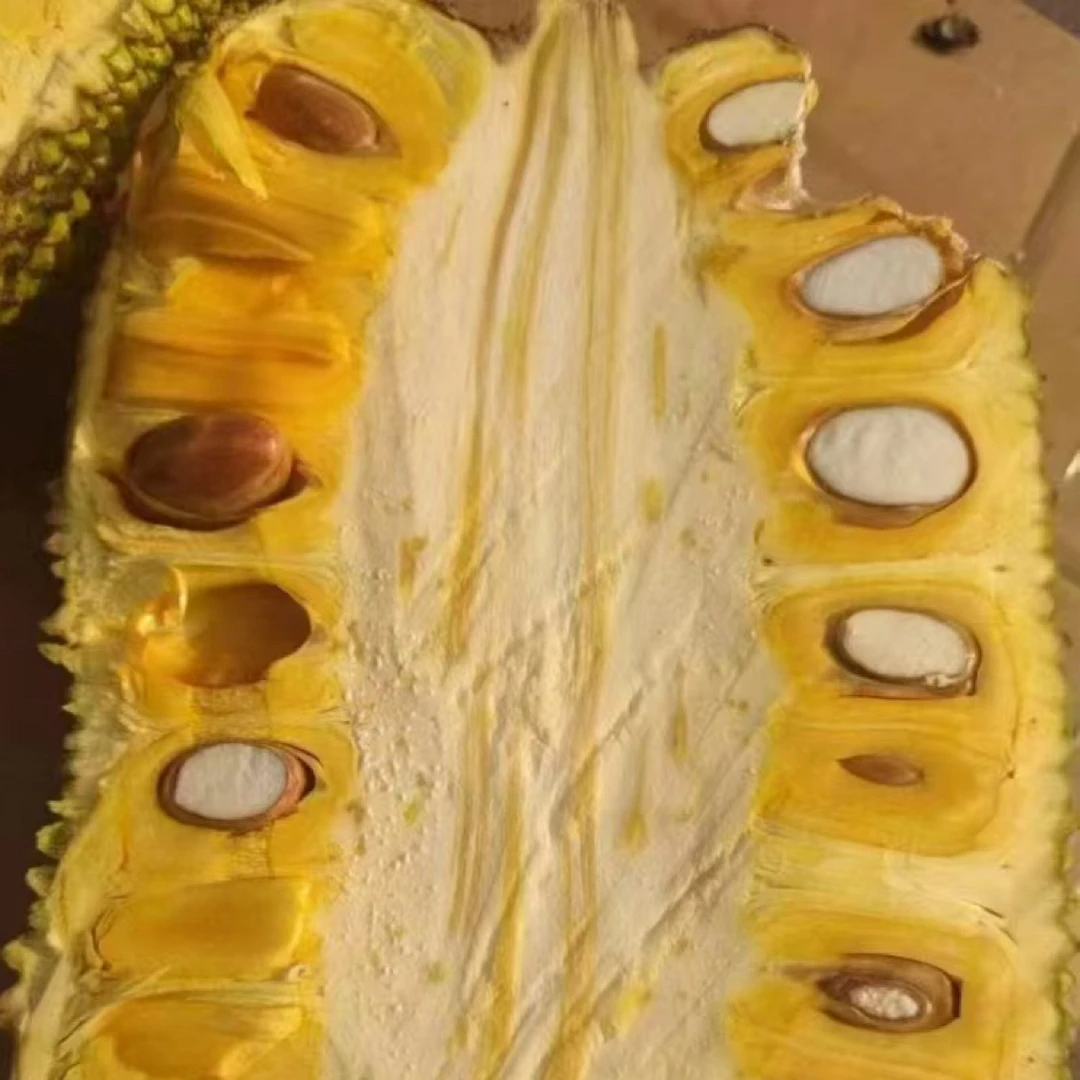 越南A果红肉菠萝蜜一个果肉脆甜香红肉菠萝蜜越南社会主义共和国