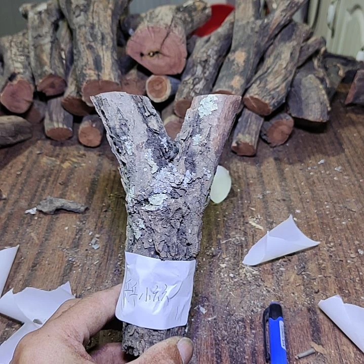 乒***六火琉璃原杈，不保沉水慎拍！