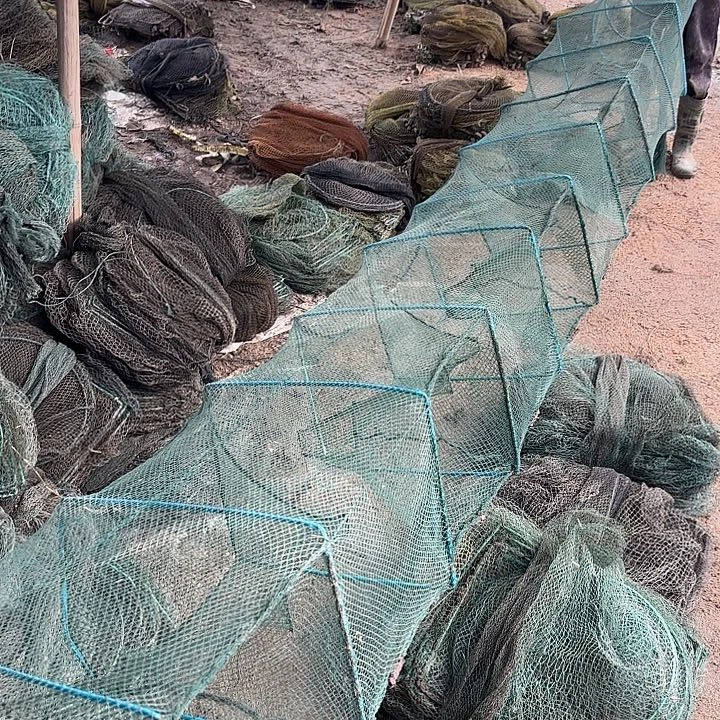 由***生虾虾148295599259292929