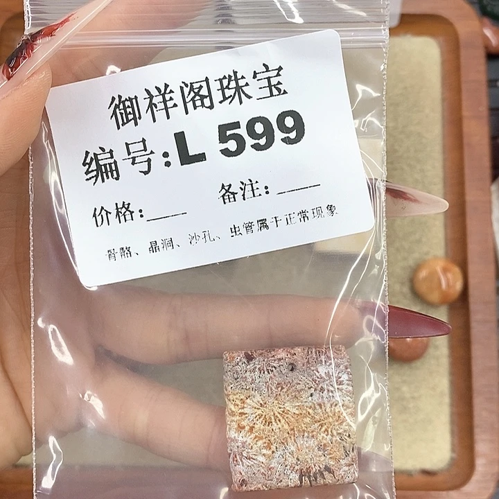 硅化珊瑚(珊瑚玉)颈饰未镶嵌丿**绪