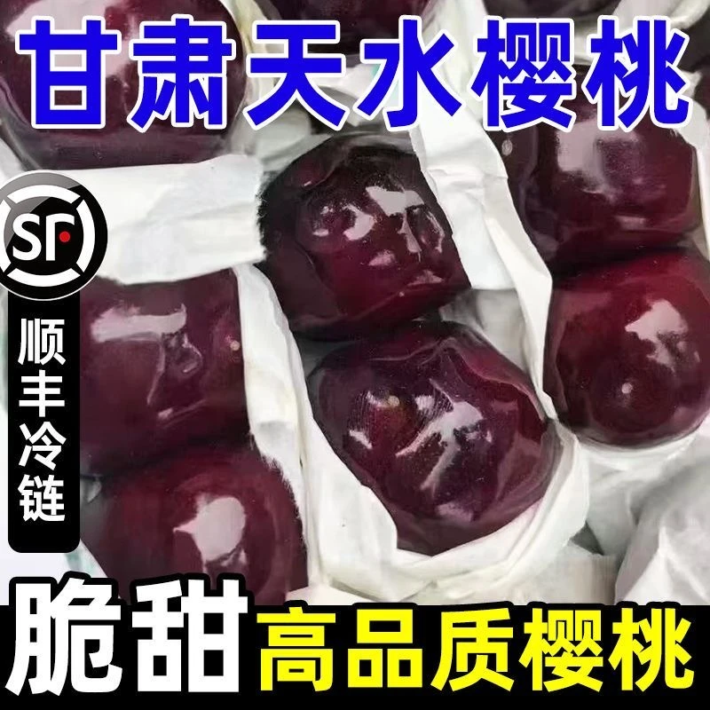 【甘肃省外】天水套袋胜利大樱桃车厘子新鲜爆汁脆甜现摘坏果包赔