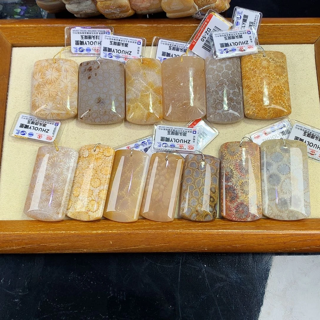 硅化珊瑚（珊瑚玉）未镶嵌吊坠(赠链)51号吊坠50一个