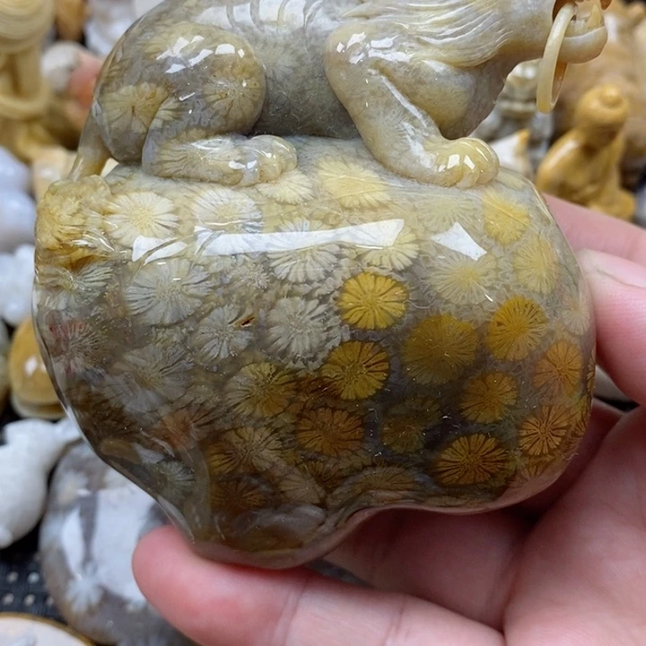 颈饰未镶嵌硅化珊瑚（珊瑚玉）