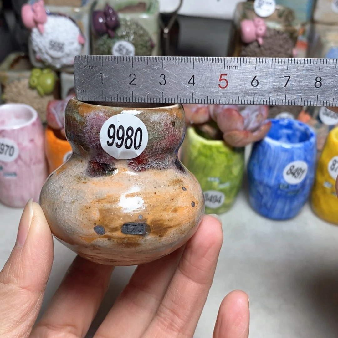 拍5送一个小礼物