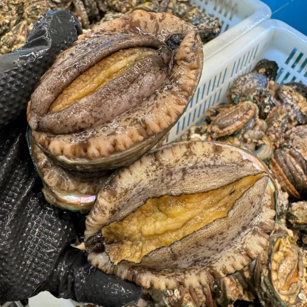 12头鲍鱼(可自取可配送)辣炒 清蒸