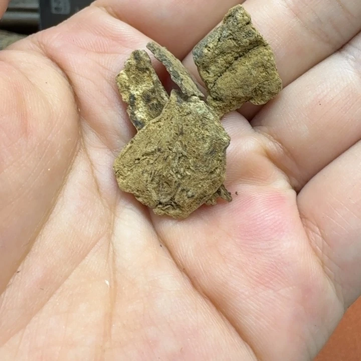 大叶紫檀（黑酸枝木类）
