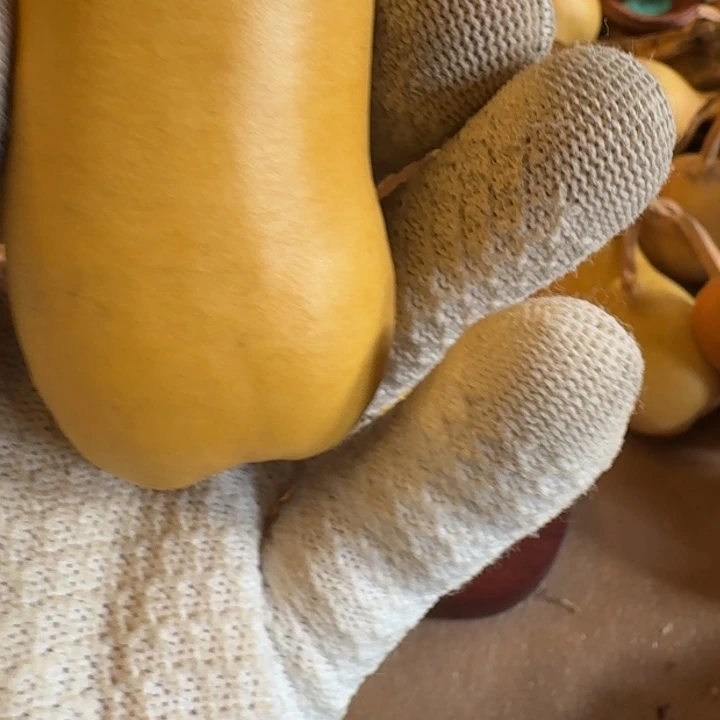 ～****葫芦88888888888888