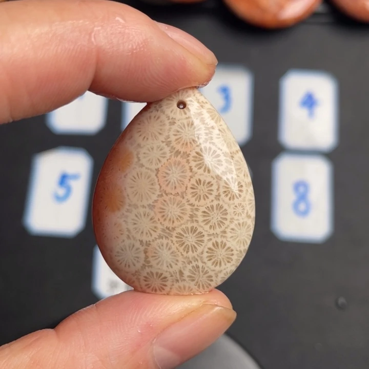 合金珠宝奇石硅化玉221