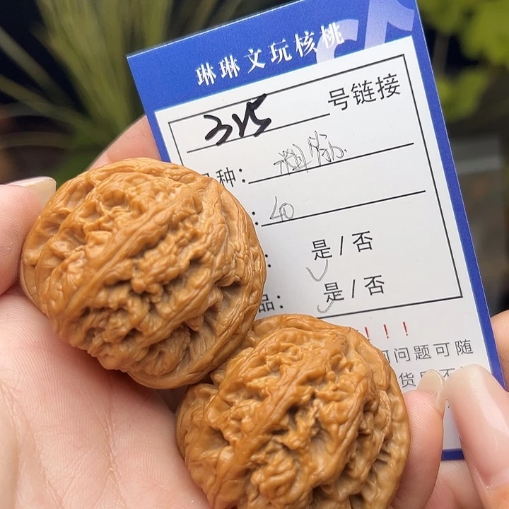 文玩核桃吊坠核桃树325