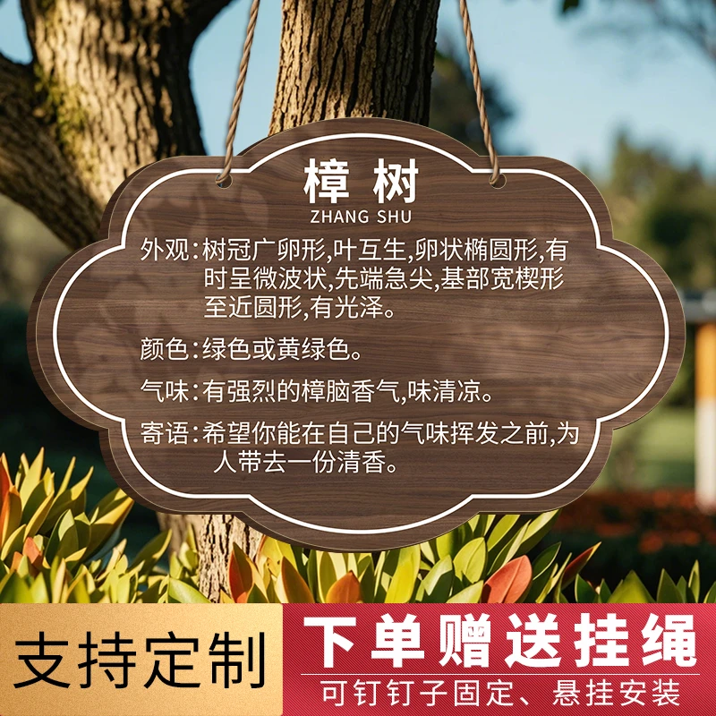 亚克力树牌挂牌定制植物果树树木标识牌介绍牌树名牌树铭牌花草牌