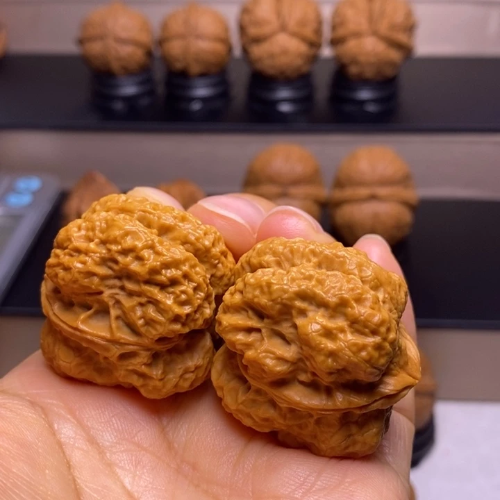 把件文玩核桃霸王龙脊5